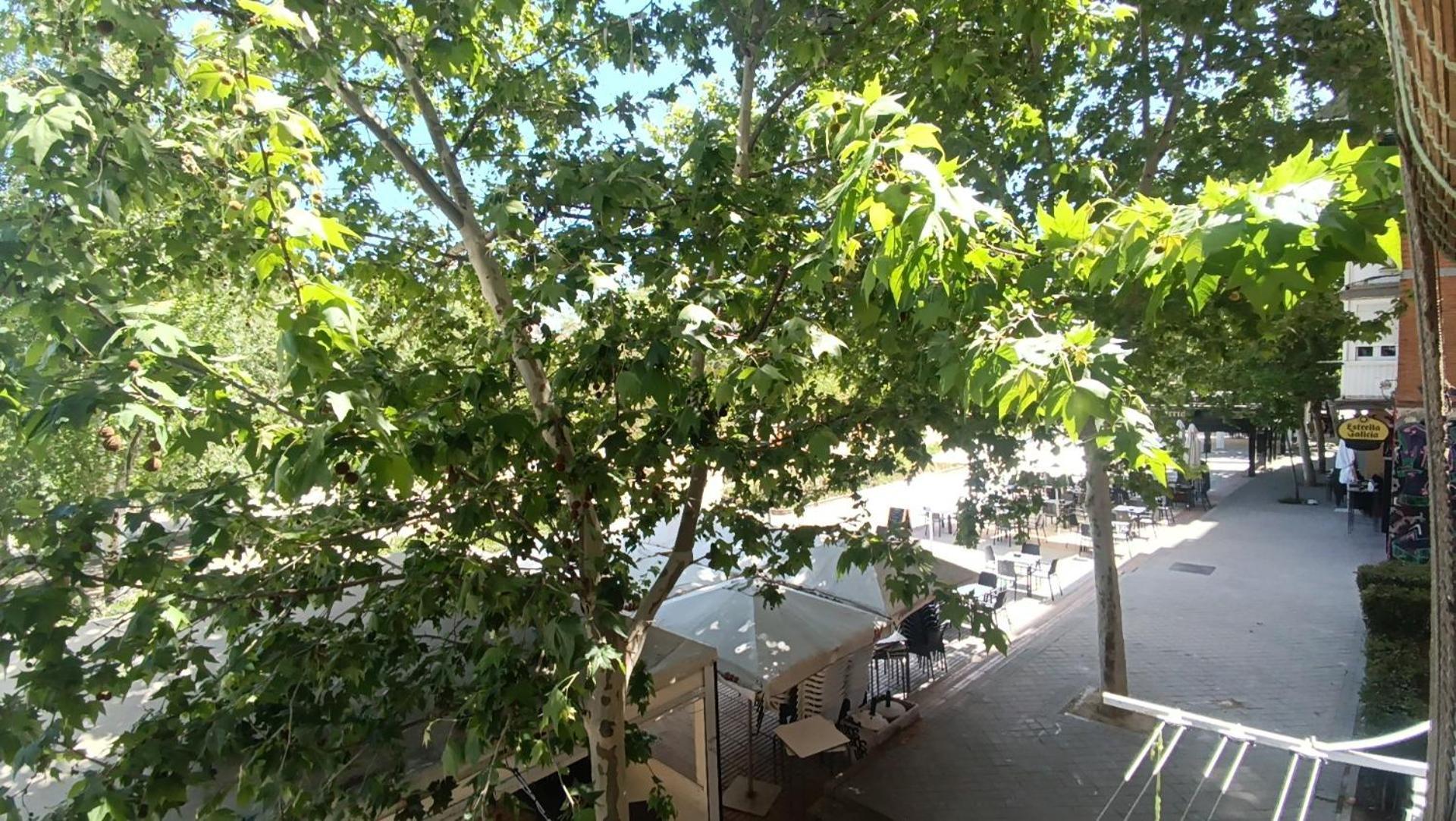 Parque Aluche Madri
